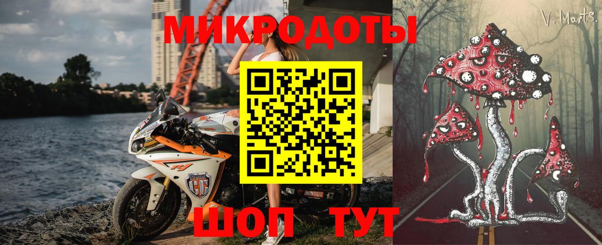 Галлюциногенные грибы Psilocybine cubensis Богородицк